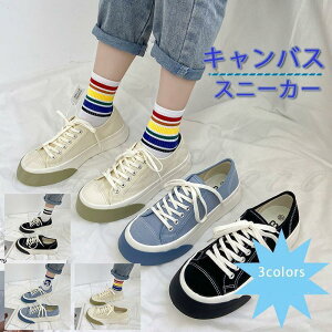 Xj[J[ fB[X LoX V[Nbg [Jbg JWA ɂ ₷ r AEghA 21NtV ꂢ 