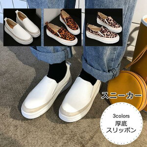 Xj[J[ fB[X Xb| n  q[F4cm [Jbg C ɂȂ ₷ ₷ AEghA ꂢ 