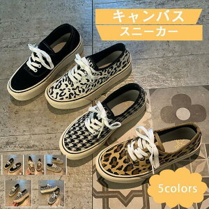 Xj[J[ fB[X LoX R [Jbg V[Y JWA ₷ ₷ r AEghA 21NtV ꂢ 