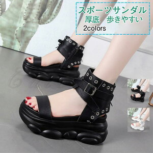 X|[cT_ fB[X T}[T_  nCq[ ~ r  ₷ AEghA 21NĐV ꂢ 