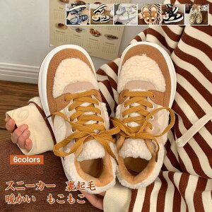 Xj[J[ fB[X JWAV[Y RC XG[h  N h g  Ȃ ₷ r H~ 