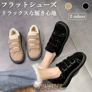 [gV[Y fB[X tbgV[Y ~ [t@[ {A ؂ [gu[c }WbNe[v N JV H