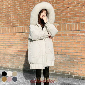 _ER[g fB[X t[ht R[g  ~R[g _EWPbg  ʋ AE^[ h ~ g t[htR[g