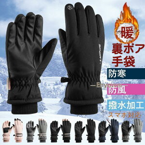  fB[X Y Ԃ N O[u jp X}zΉ  h h ۉQ ~ H ]