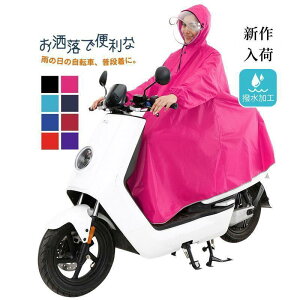 CR[g O Y fB[X jp ] Oco C|` Jbp CEFA J ʋ ʊw 