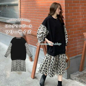 ԕs[X Os[X tAs[X `[ ԕ  hbLO ~ fB[X tďH~  ̌^Jo[ 傫TCY 