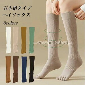 ܖ{w nC\bNX fB[X C hL ܖ{wnC\bNX u\bNX  5{w\bNX nC  z ȍ n ܖ{wC X|[c