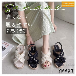 T_ fB[X 2022  ₷ ₷ ؂ IV 킢 t r[`T_ tbg ɂȂ   40 i