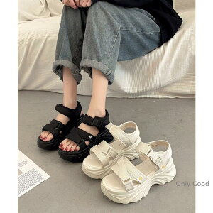 T_ fB[X C  T_ X|[cT_ r[`T_ ₷ Ȃ O y ~ O  ėpT_ 2F