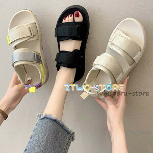 X|[cT_ fB[X p C X|T ؂ xN }WbNe[v xg  JWA X|[eB[