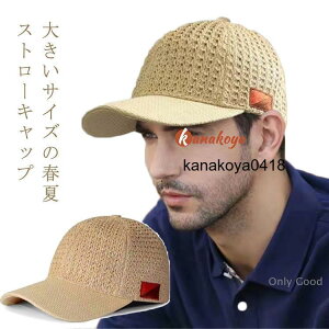 Lbv Lbv  ėp Y fB[X Xq Xq Y fB[X St Xq StLbv StXq 傫TCY