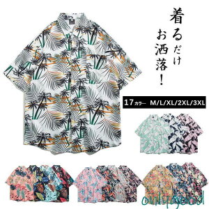 AnVc Vc Y ԕ JWAVc gbvX J An I[vJ[ ][g C r[` t  v[g  