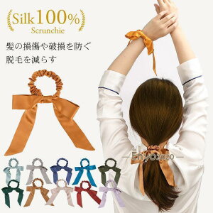 wAS VV VN100 { wAANZT[  ܂Ƃߔ |j[e[ Vv 킢 fB[X   AQO VN