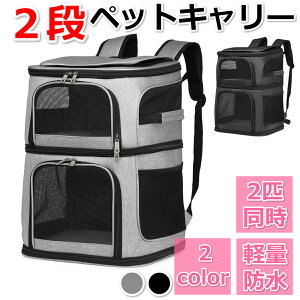 ybgL[ obO bN g₷   L  lC ^ 2C 2i ybgL[obO ybgL[bN