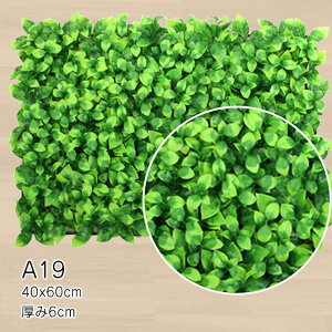  24F 40*60cm   Ǌ| JXj CeAO[ EH[pl tFCN y tȒP ǖ O[EH[ lHA ϗtA CeA Xܑ ǗΉ v