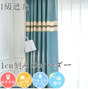  J[e Ռ 1 ՌJ[e h[vJ[e ꋉ 1Ռ   o J[e ۉ fM 킢 