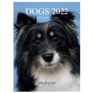 ドレジャー 2022年【スモールカレンダー】DOGS（壁掛けタイプ） 犬 動物 スケジュール 写真入り 祝日シール付き 輸入雑貨 [FSC認証]