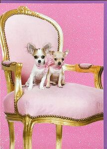 O[eBOJ[h ړI TRACKS}WbNusN̈֎q̃`v 175×127mm   bZ[WJ[h 蕕t Mtg(H068)