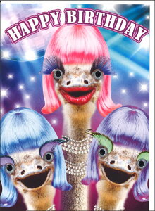 O[eBOJ[h a o[Xf[ SO[YڋʃJ[hu_`Ev 175×125mm  J[ʐ^ bZ[WJ[h Mtg(H259)