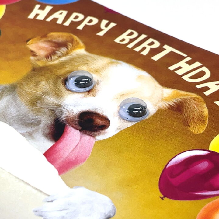 楽天市場 グリーティングカード 誕生日 バースデー ゴグリーズ目玉カード 犬 封筒付き 白 封筒サイズ 175 125mm 動物 カラー写真 メッセージカード 封筒付き 輸入雑貨 H263 ユージニア 楽天市場店