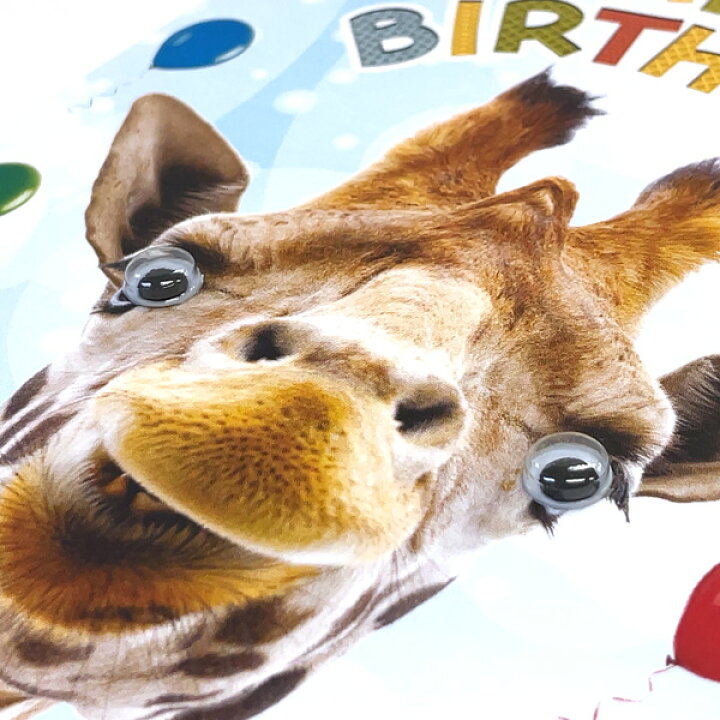 楽天市場 グリーティングカード 誕生日 バースデー ゴグリーズ目玉カード キリン 封筒付き 白 封筒サイズ 175 125mm 動物 カラー写真 メッセージカード 封筒付き 輸入雑貨 H267 ユージニア 楽天市場店