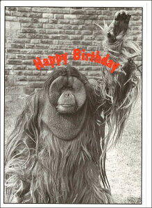 O[eBOJ[h a o[Xf[ JGCun[Cv 110×152mm  mNʐ^ bZ[WJ[h `TCY AG(JGC127)