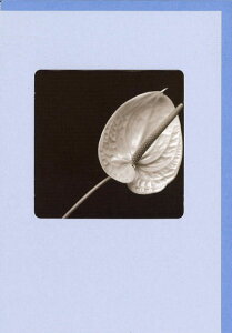 O[eBOJ[h  mNEBhEV[YuAXEv 180×125mm t  t[ ʐ^ bZ[WJ[h AG(NC5801)