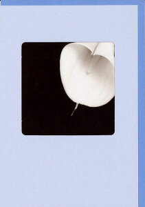 O[eBOJ[h  mNEBhEV[YuJ[v 180×125mm t  ʐ^ bZ[WJ[h AG(NC5804)