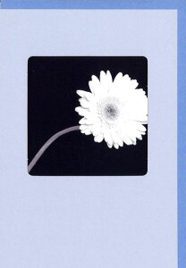 O[eBOJ[h  mNEBhEV[YuK[xv 180×125mm t  ʐ^ bZ[WJ[h AG(NC5808)