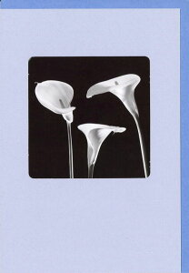 O[eBOJ[h  mNEBhEV[Yu3{̃J[v 180×125mm t  t[ ʐ^ bZ[WJ[h AG(NC5852)