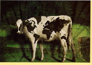 O[eBOJ[h ړI EVV[YuGLOBAL COWv 180×125mm  J[ʐ^ bZ[WJ[h AG(NC6251)