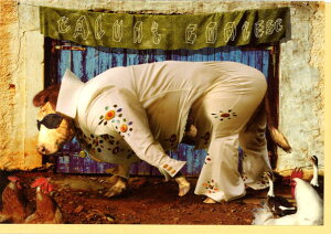 O[eBOJ[h ړI EVV[YuELVIS COWv 180×125mm  J[ʐ^ bZ[WJ[h AG(NC6270)