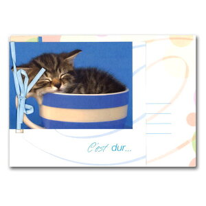 O[eBOJ[h ړI {RNVu₷ݎqLv105×150mm  bZ[WJ[h `TCY {t AG(RG-00050)