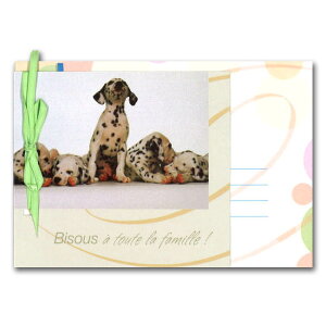 O[eBOJ[h ړI {RNVu5C̃_VAv105×150mm  bZ[WJ[h `TCY {t AG(RG-00052)