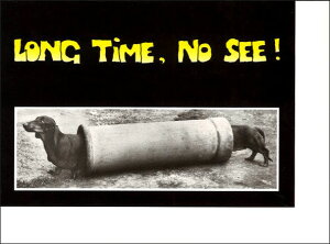 O[eBOJ[hyړIzu_bNXthFvԂvyt/zyTCY/152×111mmz  mNʐ^ bZ[WJ[h `TCY t AG(VTC19)