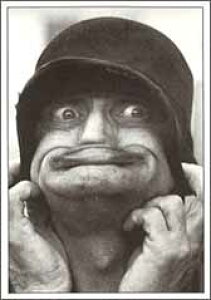 ~jO[eBOJ[hyЂƂƃJ[hzyړIzy̓zuj[NȂvy/63×89mmzyJ[h/58×85mmzy̐F/zy/nz