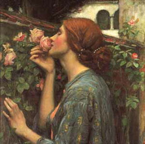 ~jO[eBOJ[hyړIzEH[^[nEX uovy/120×120mmzyJ[h/117×117mmzy̐F/AC{[zy/nz