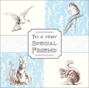 O[eBOJ[hya/o[Xf[zu肷EE˂݁Evy/165×165mmzy̐F/AC{[zy/uHappy birthdayvzyLL̃tb^[Hz