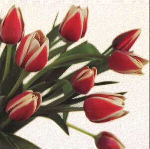 O[eBOJ[hyړIzu`[bvvy/165×165mmzyJ[h/157×157mmzy̐F/zy/nzyLL̃tb^[Hz