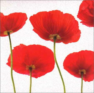 O[eBOJ[hyړIzu|s[vy/165×165mmzyJ[h/157×157mmzy̐F/zy/nzyLL̃tb^[Hz