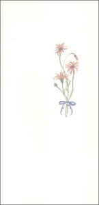O[eBOJ[hyړIzuԁvy/93×190mmzyJ[h/88×184mmzy̐F/T[sNzy/nz