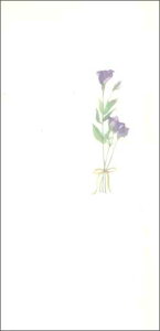 O[eBOJ[hyړIzuԁvy/93×190mmzyJ[h/88×184mmzy̐F/T[sNzy/nz