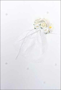 O[eBOJ[hyړIzyo^Czy̓zuԑvy/120×168mmzy̐F/zyʁE/nip1tjzynhChz(W08059)