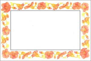 bZ[WJ[hyJ[he6̃ZbgzuIW[vy/106×160mmzyJ[h/102×153mmzy̐F/zy̓/}U[YfCz