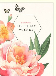 O[eBOJ[h a o[Xf[uԂ̃o[Xf[J[hv 133×185mm bZ[WJ[h zCg AC{[ H(YRGG0008)