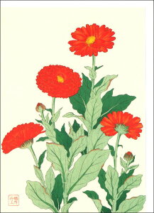 グリーティングカード 多目的 河原崎奨堂「金盞アート 花(キンセンカ)」 封筒126×175mm アート 花 メッセージカード おしゃれ ギフト(HZG9708)