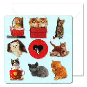 O[eBOJ[h ړI tHg}j[XNGAuqLv150×150mm  _CJbg CXg bZ[WJ[h