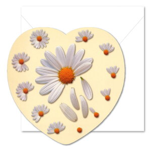 O[eBOJ[h ړI tHg}j[n[gu}[Kbgv150×150mm  _CJbg CXg bZ[WJ[h