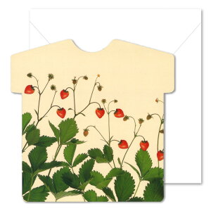 O[eBOJ[h ړI tHg}j[TVcuC`Sv150×150mm ʎ _CJbg CXg bZ[WJ[h