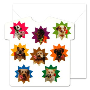 O[eBOJ[h ړI tHg}j[TVcuv150×150mm  _CJbg CXg bZ[WJ[h